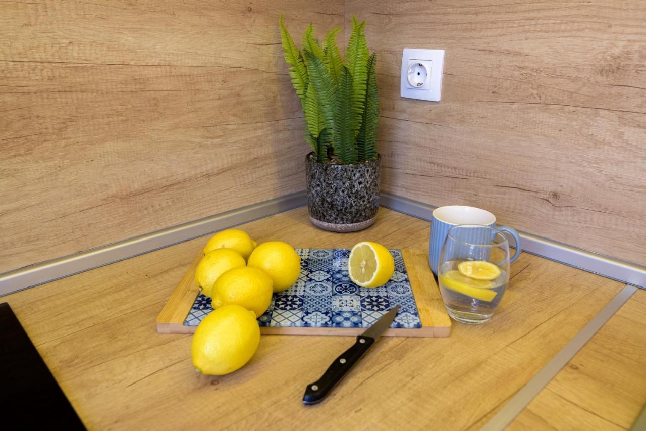 Chayka Comfort Apartment Varna